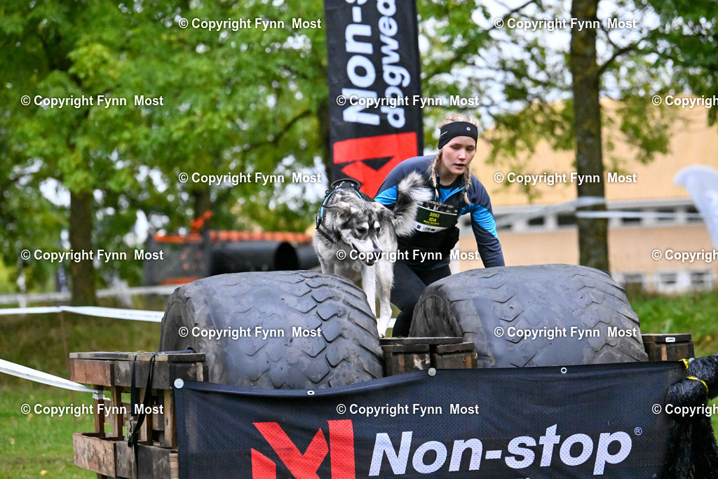 DSC_2698 | Hallo und herzlich Willkommen auf meiner Shop-Seite Fynn Most.

Ich wünsche Dir viel Spaß beim stöbern durch die Bilder, wenn Du Fragen hast oder Bilder vermisst, kannst du mir gerne eine Nachricht schreiben. - Realisiert mit Pictrs.com