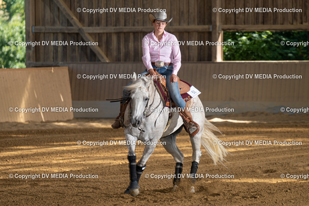 DSC00350 | dv-media-shop - Realisiert mit Pictrs.com