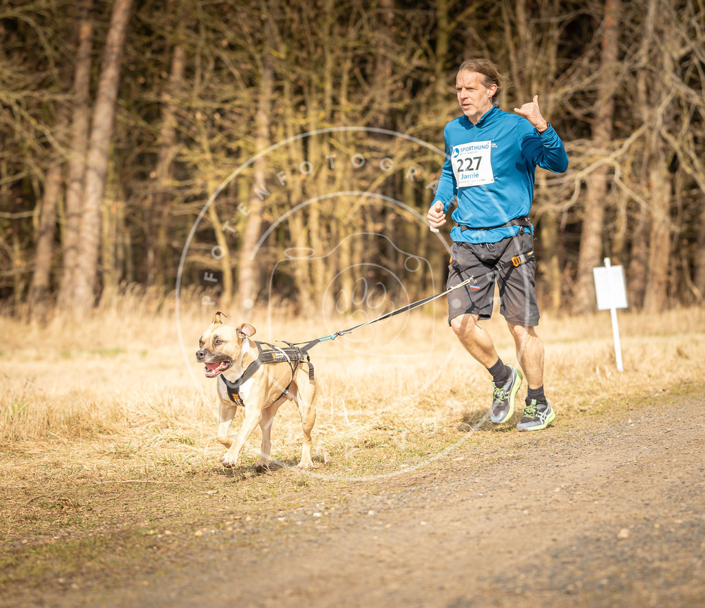 DV3A5330 | Hundefotografie, Tierfotograf, Pfotenfotografie, Fotoshooting Hund, Hunde Portrait, Hundesport, Hundeportraits, Heideshooting, Hunde, Sportfotograf, Hundefotograf, Turnierhundsport, THS,  - Realisiert mit Pictrs.com