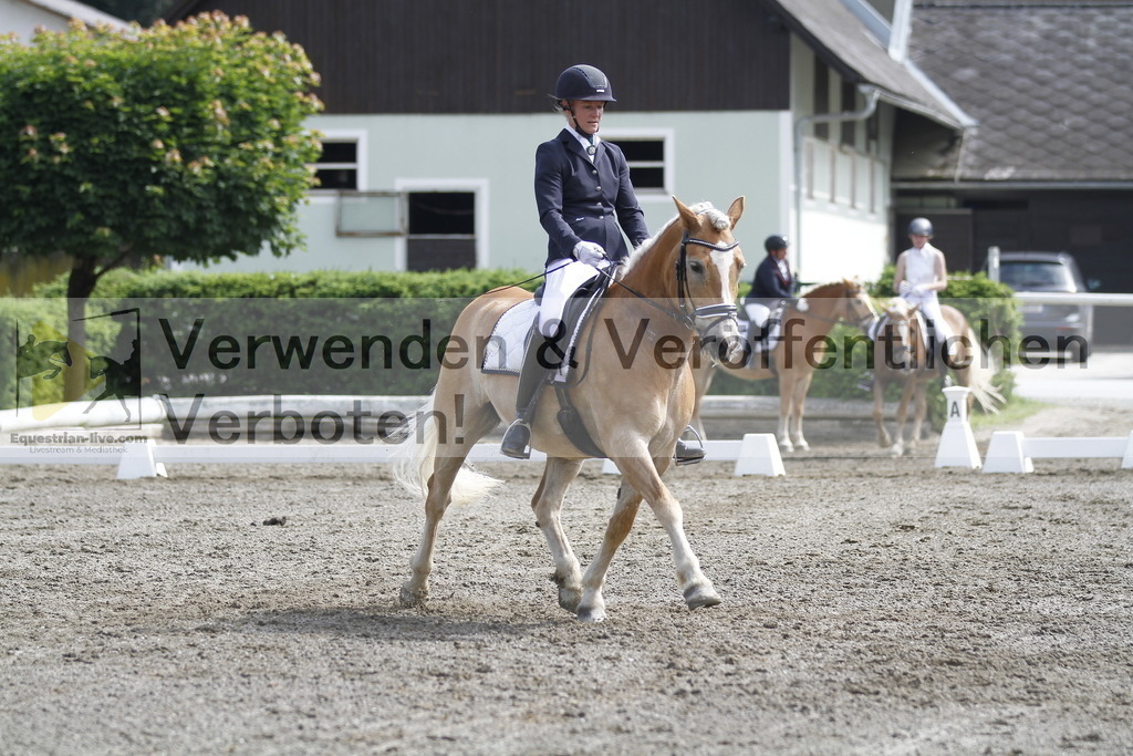 _MG_9670 | equestrian-live-com