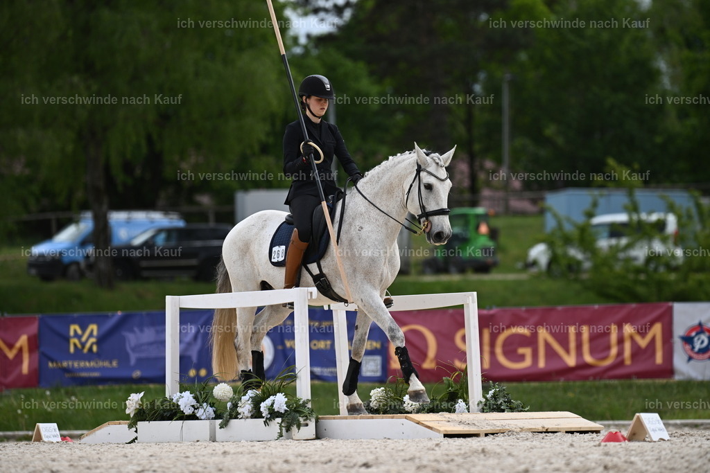 PI26_ST_Sara_Landvogt226_4028.JPG | working equitationturnier fotograf videograf stoibphotography marixx film working equitation deutschland reitsport turnierfotografie eventfotografie equestrian events