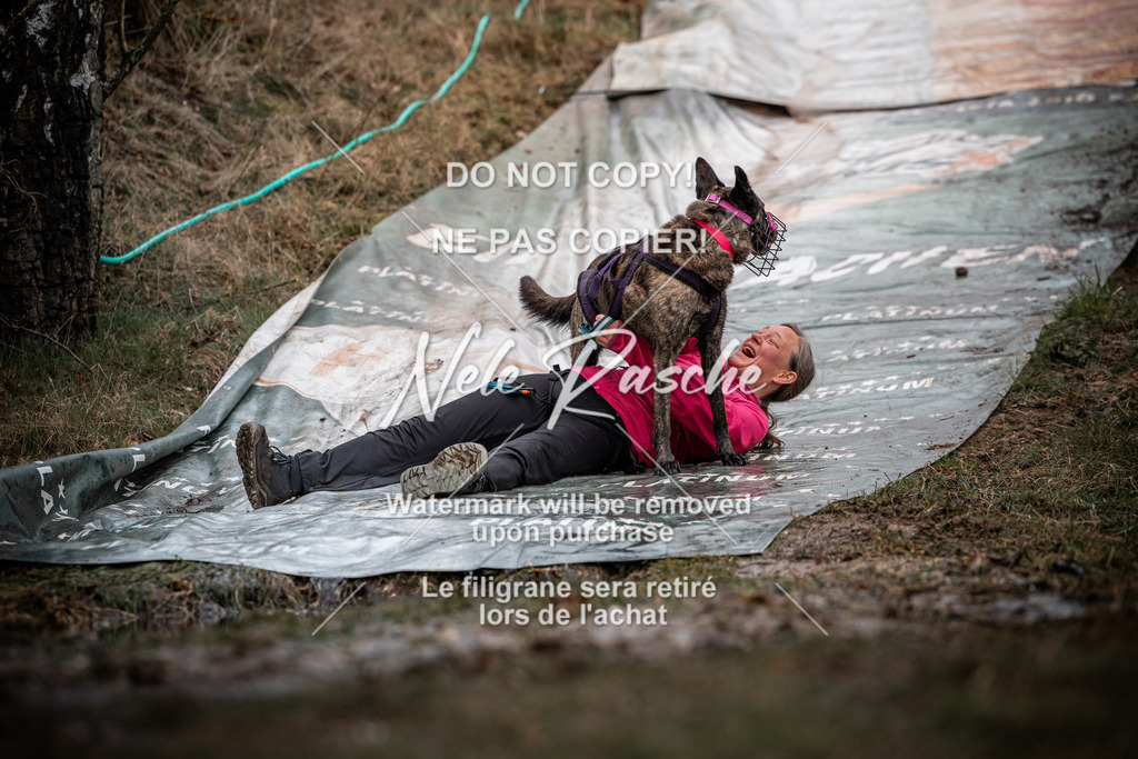 nelerasche_1100-1130_06 | nelerasche