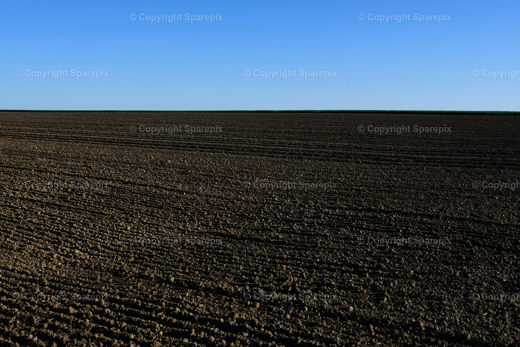 CAR_Agri_Spring_Field6 | Camera height 1,60m - light 4/25° - Realisiert mit Pictrs.com