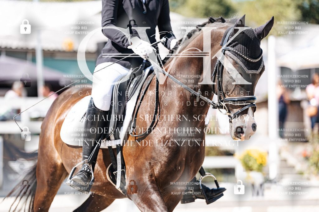 CK909613 | Turnierfotografie Pferdefotografie Trier Rheinland-Pfalz Pferdesport Reitsport Tierfotografie Sportfotografie Pferdevideo Pferdevideografie Equestrianvideography equestrianphotography  - Realisiert mit Pictrs.com