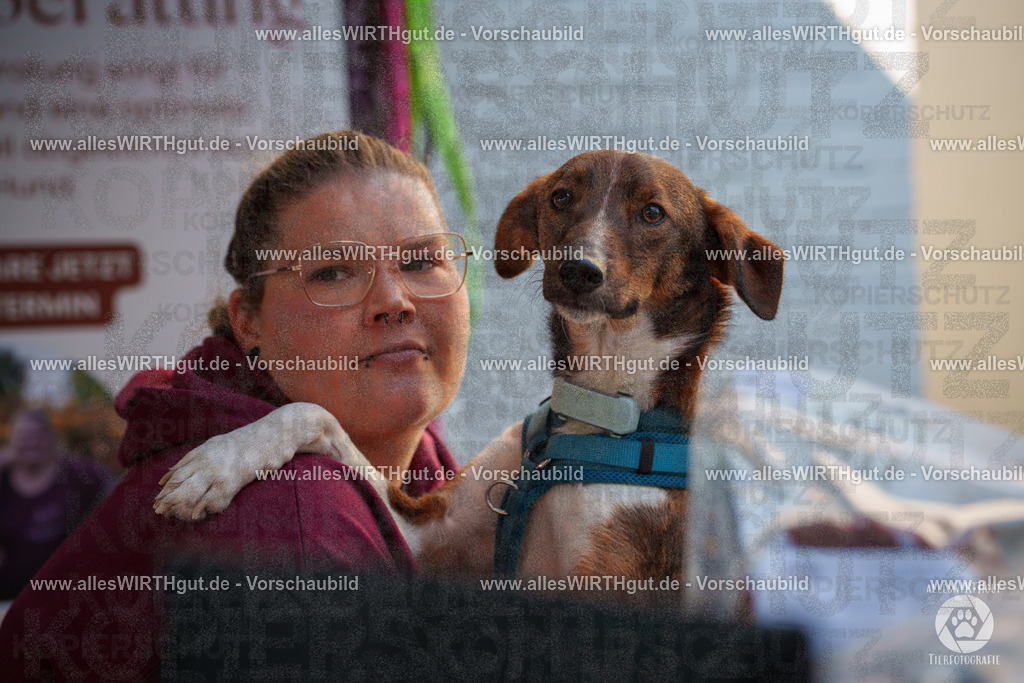 Pfötchenmarkt Nettetal-Lobberich 2026 - Nettetal-Tag - Daniel Wirth - www.allesWIRTHgut.de - @allesWIRTHgut_Tierfotografie 7R508263 | Professionelle Tierfotografie in Mönchengladbach von Daniel Wirth (allesWIRTHgut). Liebevolle & natürliche Bilder von Hunden & Katzen für unvergessliche Erinnerungen.