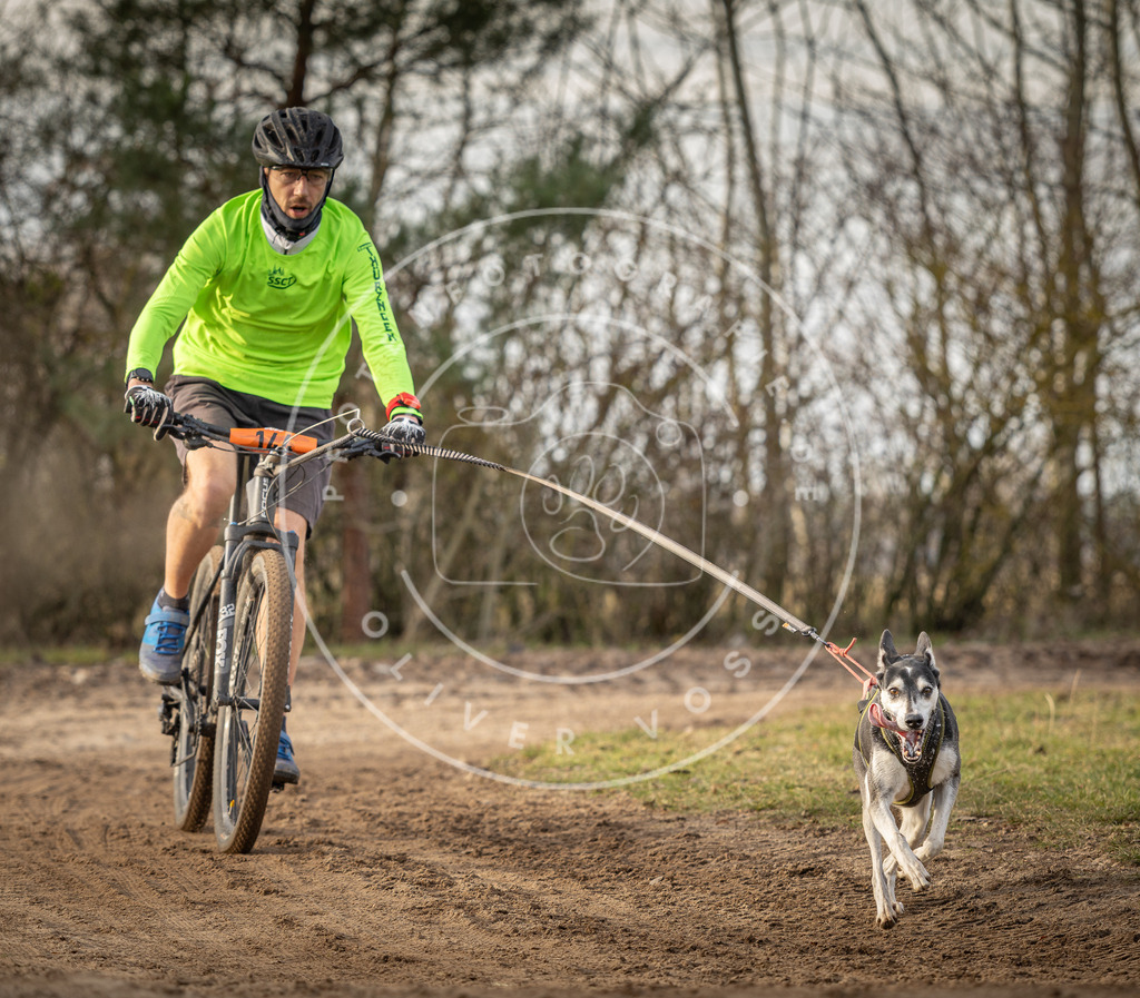 Pfotenfotografie_DV3A8423 | Hundefotografie, Tierfotograf, Pfotenfotografie, Fotoshooting Hund, Hunde Portrait, Hundesport, Hundeportraits, Heideshooting, Hunde, Sportfotograf, Hundefotograf, Turnierhundsport, THS,  - Realisiert mit Pictrs.com