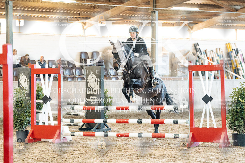 CK904167 | Turnierfotografie Pferdefotografie Trier Rheinland-Pfalz Pferdesport Reitsport Tierfotografie Sportfotografie Pferdevideo Pferdevideografie Equestrianvideography equestrianphotography  - Realisiert mit Pictrs.com