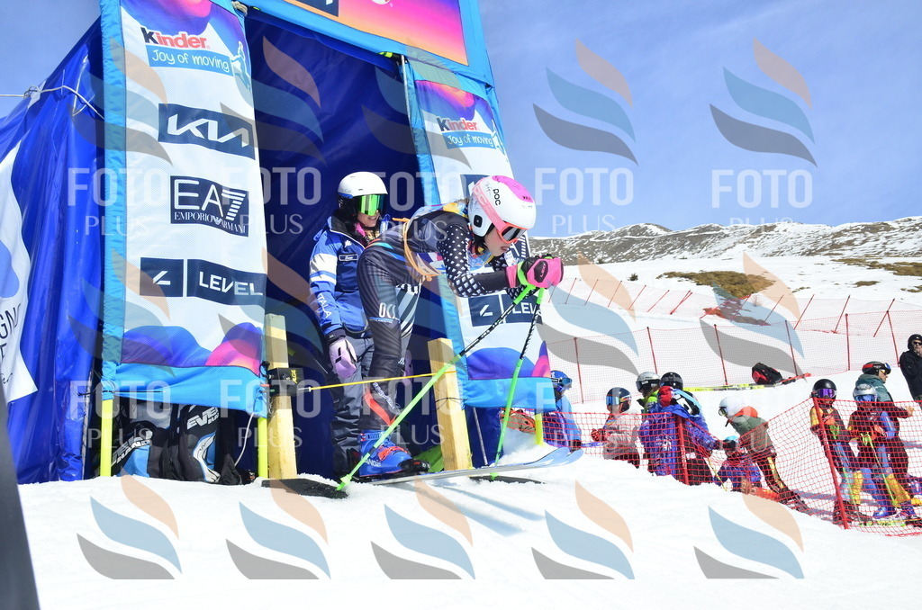 _ELE1069 | holidayphoto