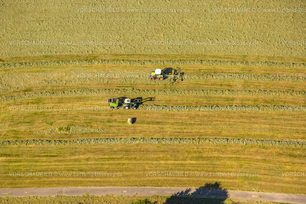 Hattingen240809797 | Luftbild, Feldarbeit Wiese mähen mit Traktor und Strohballen, Stiepel, Bochum, Ruhrgebiet, Nordrhein-Westfalen, Deutschland