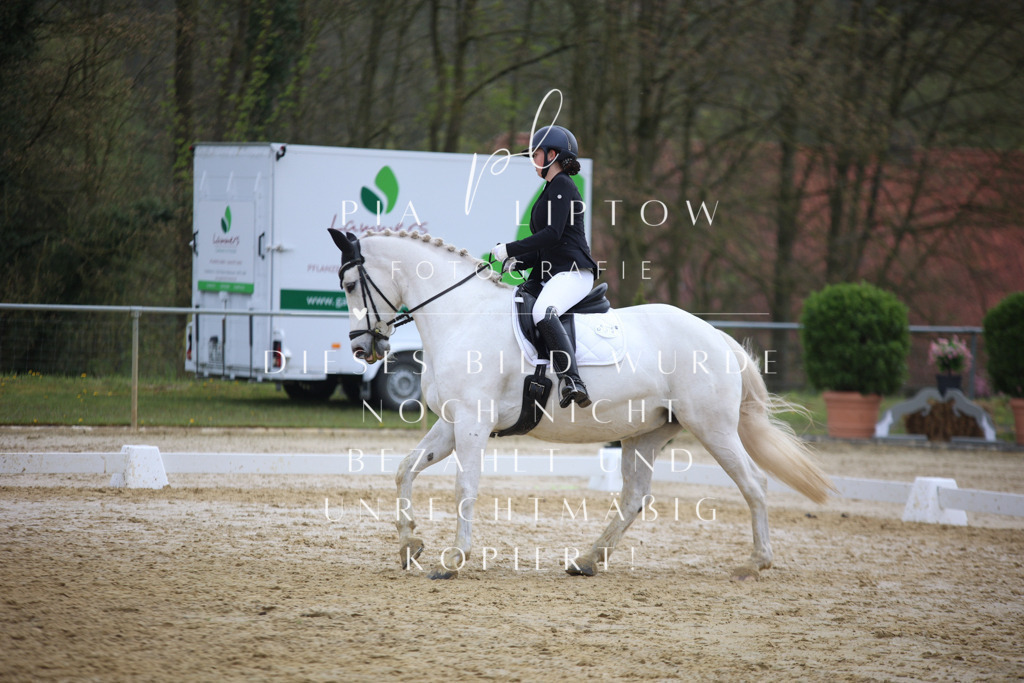 IMGT5488 | pl-fotografie