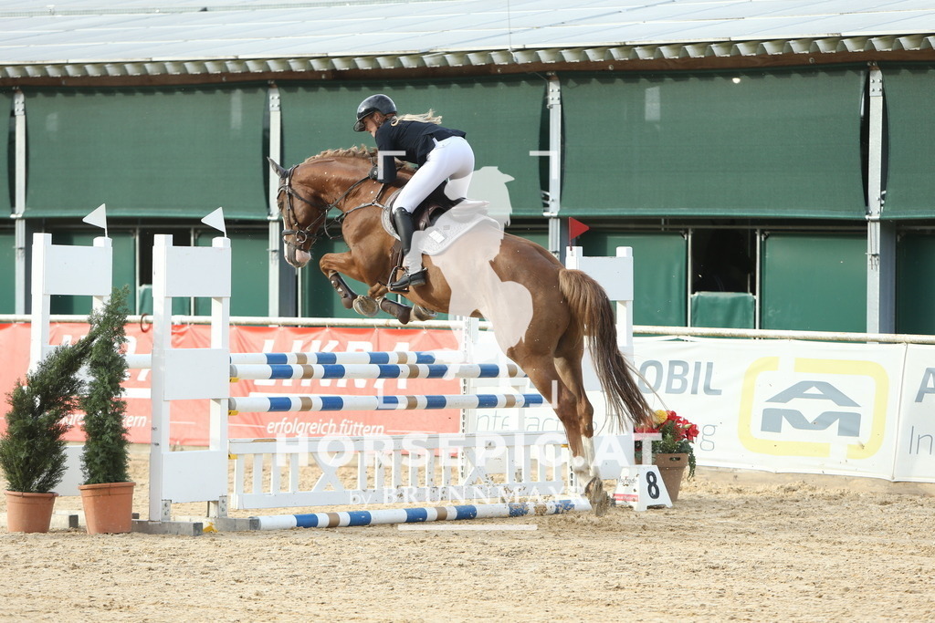 DL2Q7324 | Willkommen bei Brunnmayr - Design & Fotografie – Ihrem Spezialisten für Reitturniere und Pferdeveranstaltungen in Oberösterreich, Salzburg und Bayern! Seit über 17 Jahren sind wir leidenschaftlich dabei.