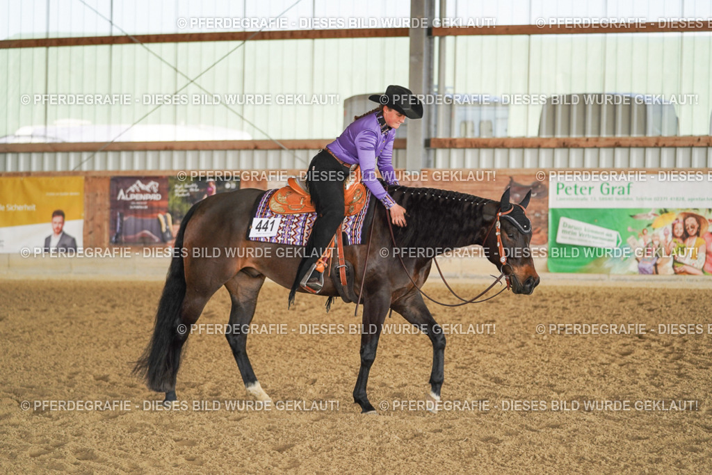 DSC09042 | Pferdegrafie