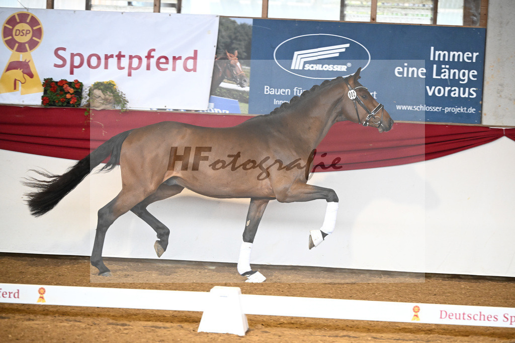 Kat-Nr. 2 ReBos Barnaby HJ v. Bonderas_Rettenmeier_16250010 | hf-fotografie - Realizzato con Pictrs.com