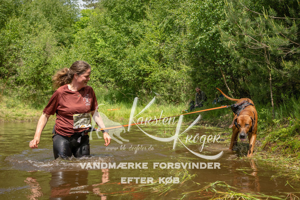 1238DKK993262 | kk-dogfotos