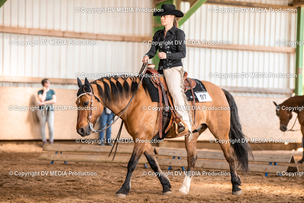 Balingen Tag 4-508 | dv-media-shop - Realisiert mit Pictrs.com