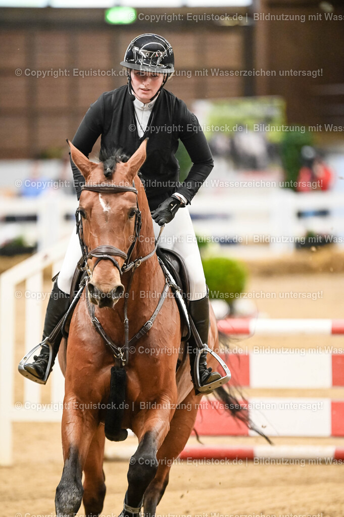 20260307_Hengstvorstellung-Marbach_0046 | equistock