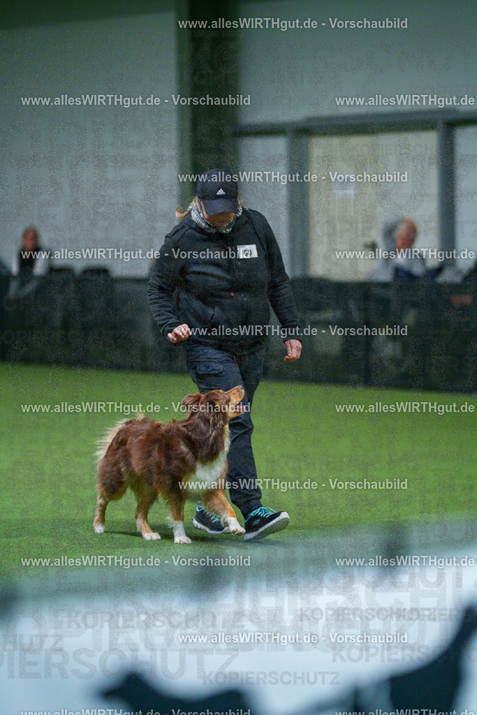 7R502873 | Professionelle Tierfotografie in Mönchengladbach von Daniel Wirth (allesWIRTHgut). Liebevolle & natürliche Bilder von Hunden & Katzen für unvergessliche Erinnerungen.