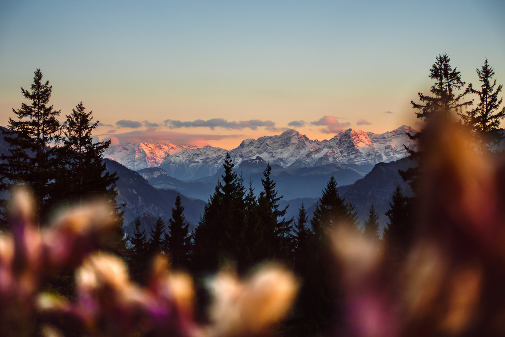 Alpenglühen im Frühjahr | ap-design // andreas plenk - Realisiert mit Pictrs.com