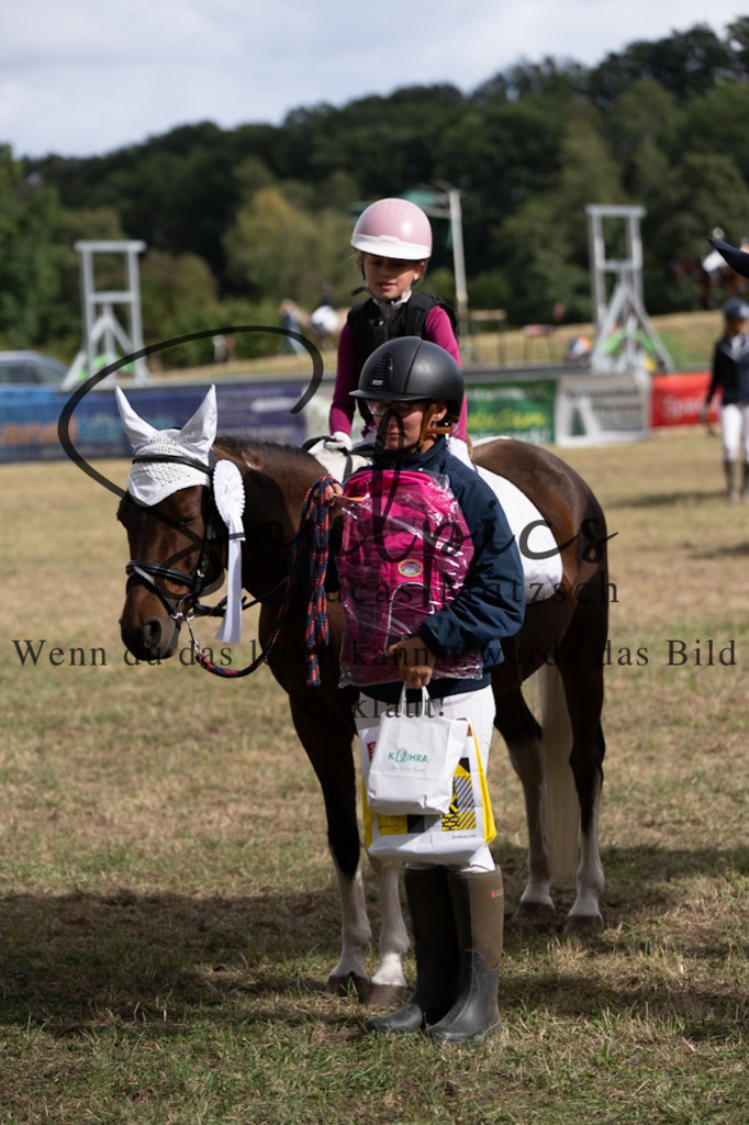 A7V01339 | Pferdefotograf