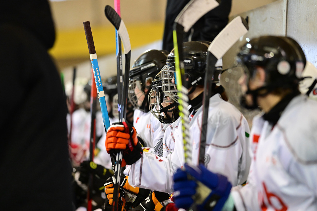 Eishockey I Frauen I Saison 2023-2024 I 1. Frauenliga Nordost I Hamburger SV - REV Bremerhaven | Der Sportfotograf. - Realisiert mit Pictrs.com