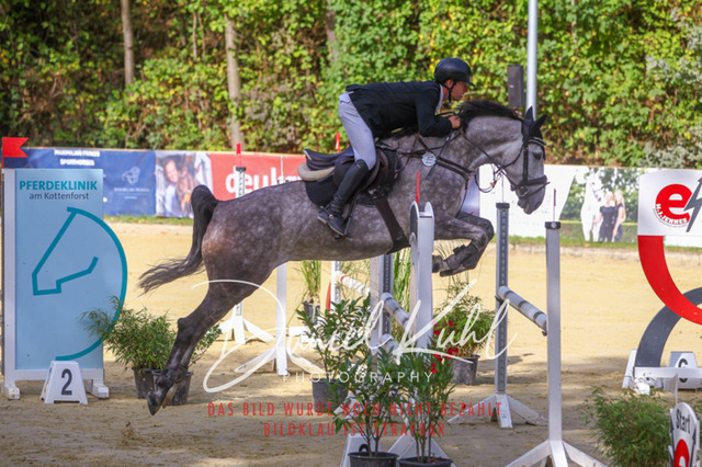 DKP42346 | Deine Turnierfotos vom Reitturnier online kaufen: Dressur, Springen & Siegerehrung. Professionelle Pferdefotografie aus dem Rheinland – als Download & Print.Alternative: Turnierfotograf für den Pferdesport: Finde deine Fotos von Dressur- und Springturnier