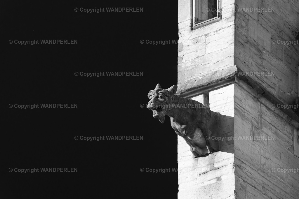 DSC03683-bw | Großformatige Foto-Drucke in Galeriequalität – Wandperlen.de. Feine Details, brillante Farben, hochwertige Materialien und zuverlässige Lieferung für Home & Office.  - Realisiert mit Pictrs.com