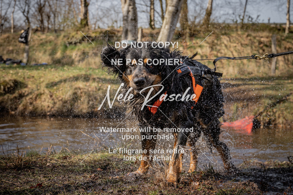 nelerasche_FS1330-1400_137 | nelerasche