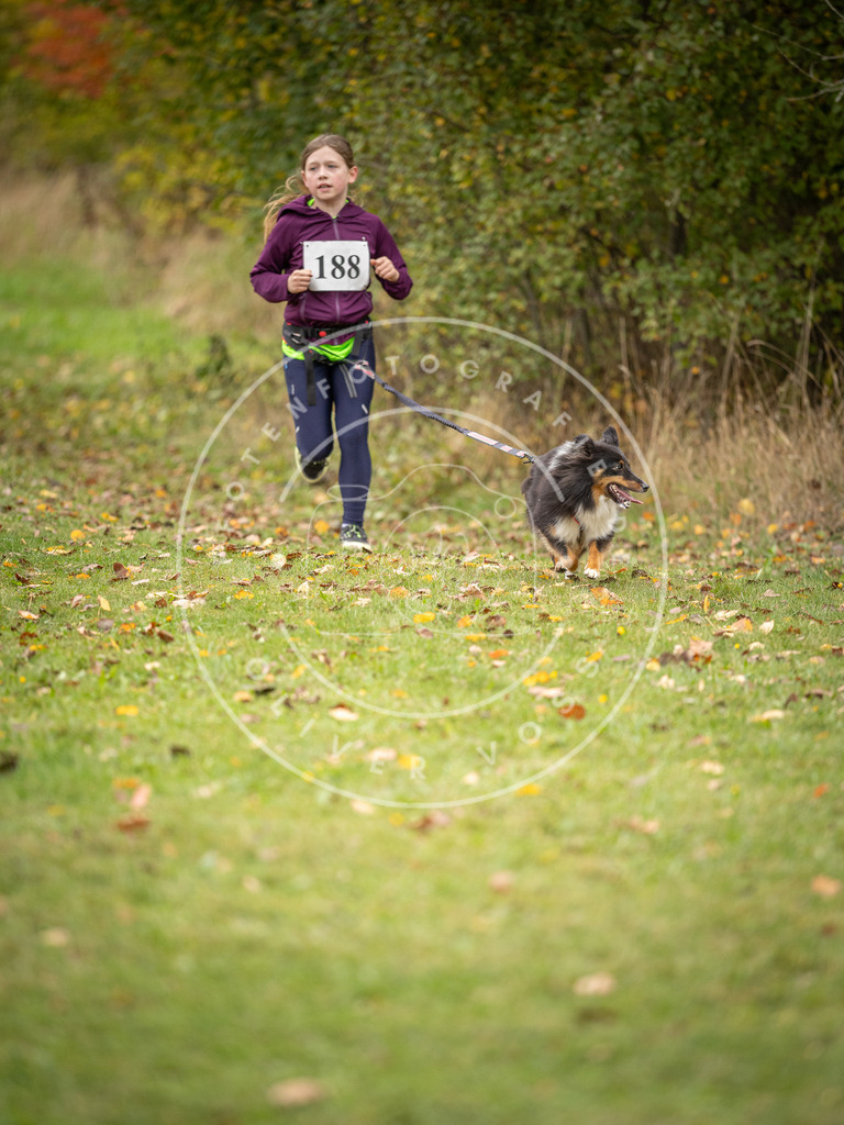 Pfotenfotografie_DV3A3688 | Hundefotografie, Tierfotograf, Pfotenfotografie, Fotoshooting Hund, Hunde Portrait, Hundesport, Hundeportraits, Heideshooting, Hunde, Sportfotograf, Hundefotograf, Turnierhundsport, THS,  - Realisiert mit Pictrs.com