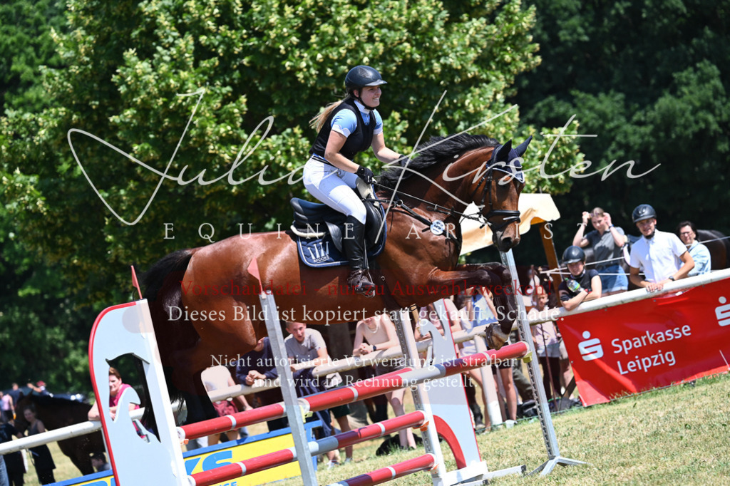 DSC_0664 | Pferde- und Turnierfotografie in Westsachsen. Pferdeportraits, Auftragszeichnungen und intuitive Kunst.