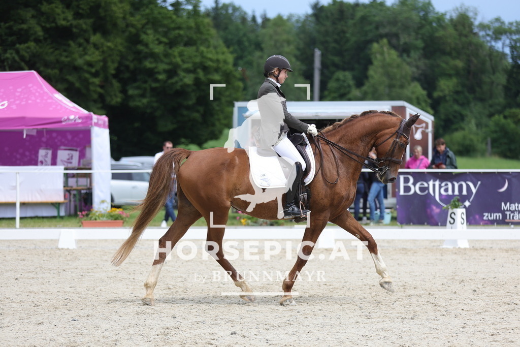0P6A5390 | Willkommen bei Brunnmayr - Design & Fotografie – Ihrem Spezialisten für Reitturniere und Pferdeveranstaltungen in Oberösterreich, Salzburg und Bayern! Seit über 17 Jahren sind wir leidenschaftlich dabei.