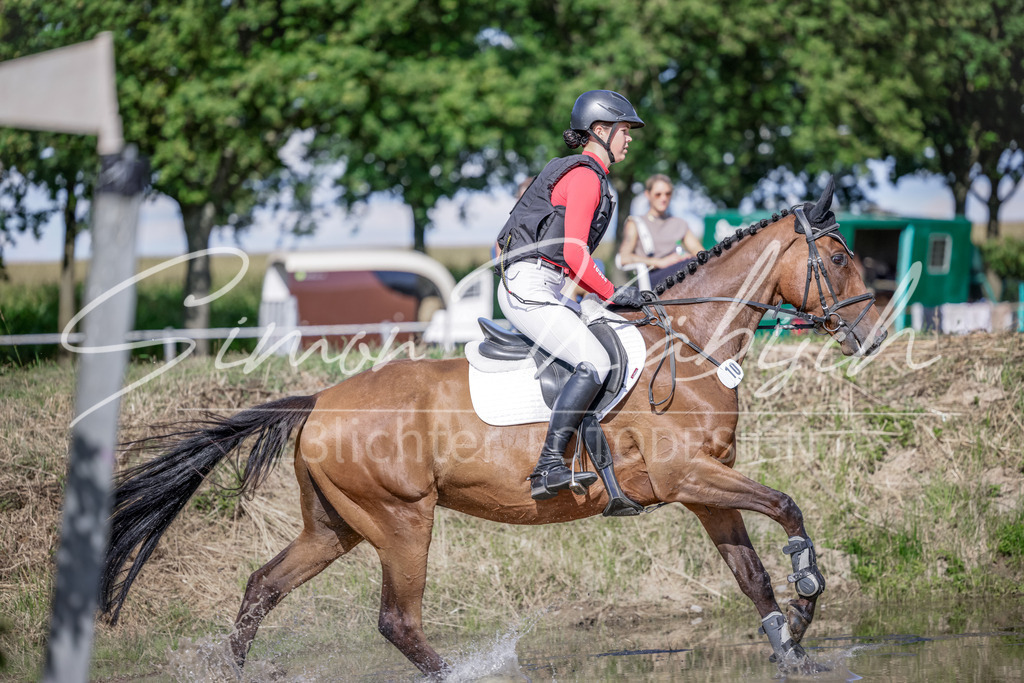 20250906-_3LI6759 | Tierfotografie Pferde, Hunde, Katzen, Haustiere.
Turnierfotografie Reitturniere, Reiten, Springreiten, Dressur in Hanau, dem Main-Kinzig-Kreis und dem Rhein-Main- Gebiet um Frankfurt