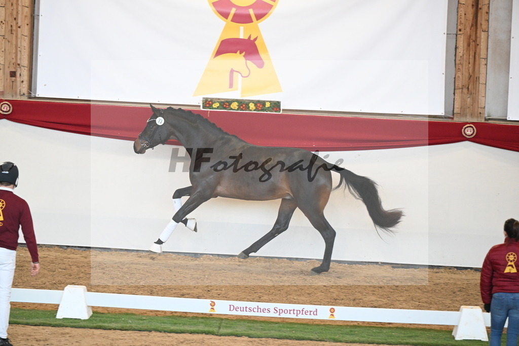 Kat.-Nr. 73 v. McLaren_Schulze Averdiek_2250642 | hf-fotografie - Realisiert mit Pictrs.com