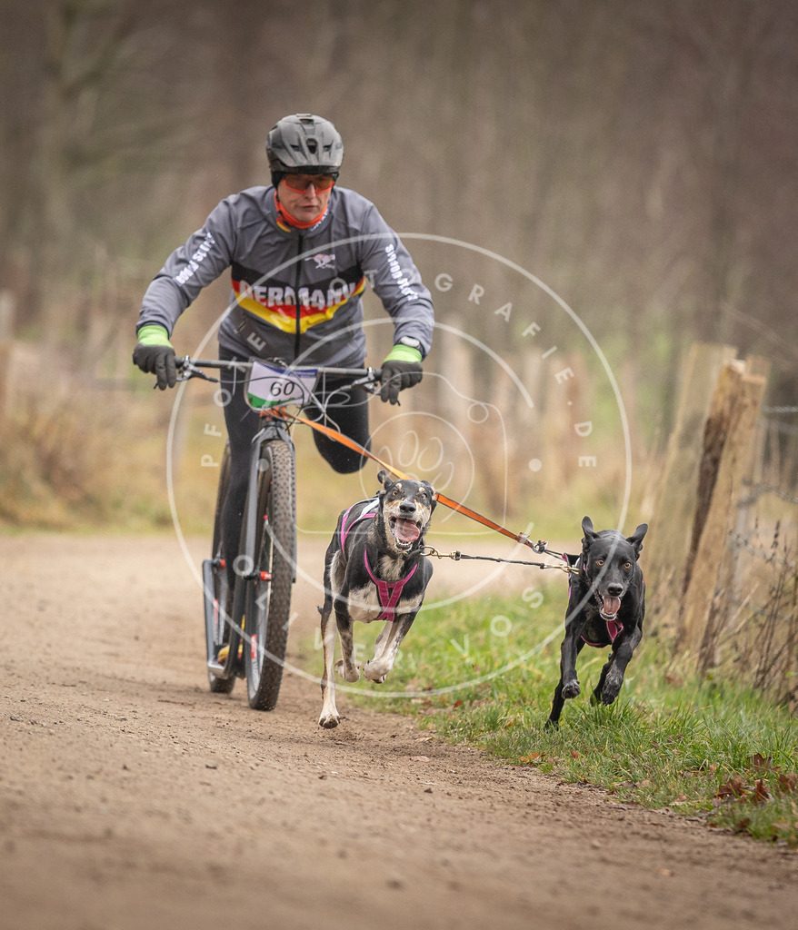 Pfotenfotografie_DV3A3215 | Hundefotografie, Tierfotograf, Pfotenfotografie, Fotoshooting Hund, Hunde Portrait, Hundesport, Hundeportraits, Heideshooting, Hunde, Sportfotograf, Hundefotograf, Turnierhundsport, THS,  - Realisiert mit Pictrs.com