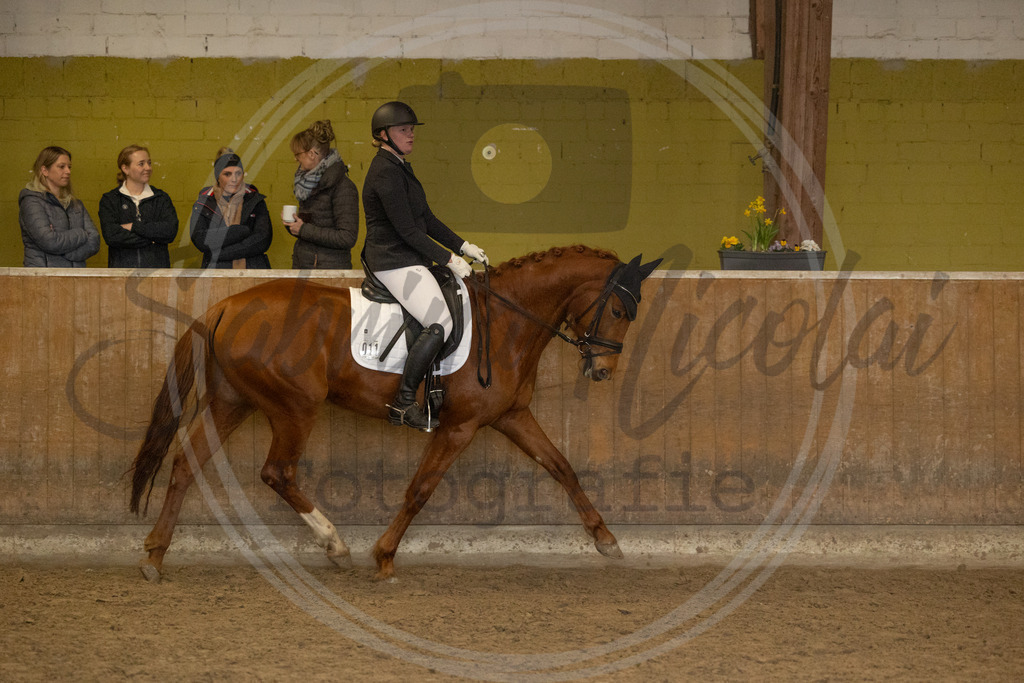 994A9367 | sabrinanicolaifotografie - Realisiert mit Pictrs.com