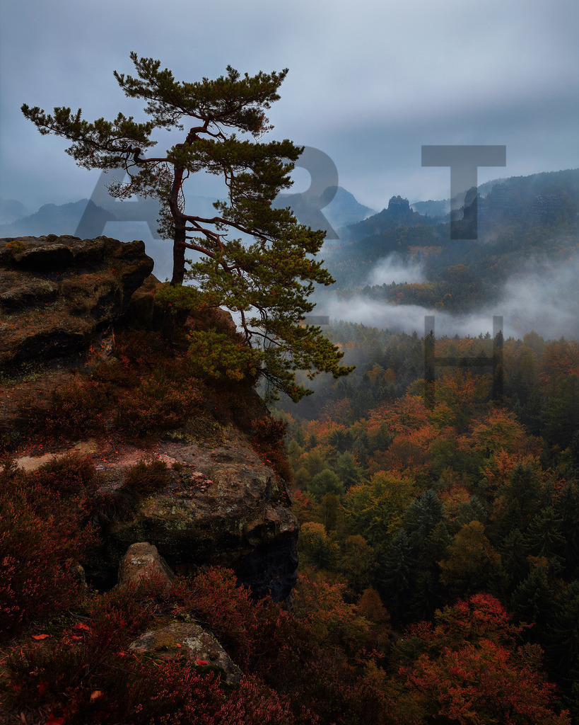 Ein Hans Fineart Original | Entdecke die Kunst von Hans Fineart - Fotografien für dein Zuhause. Verwandle deine Wände mit einzigartigen Kunstwerken und bringe die Schönheit der Welt in dein Leben. Bestelle jetzt und schaffe einen Ort der Inspiration und Eleganz.