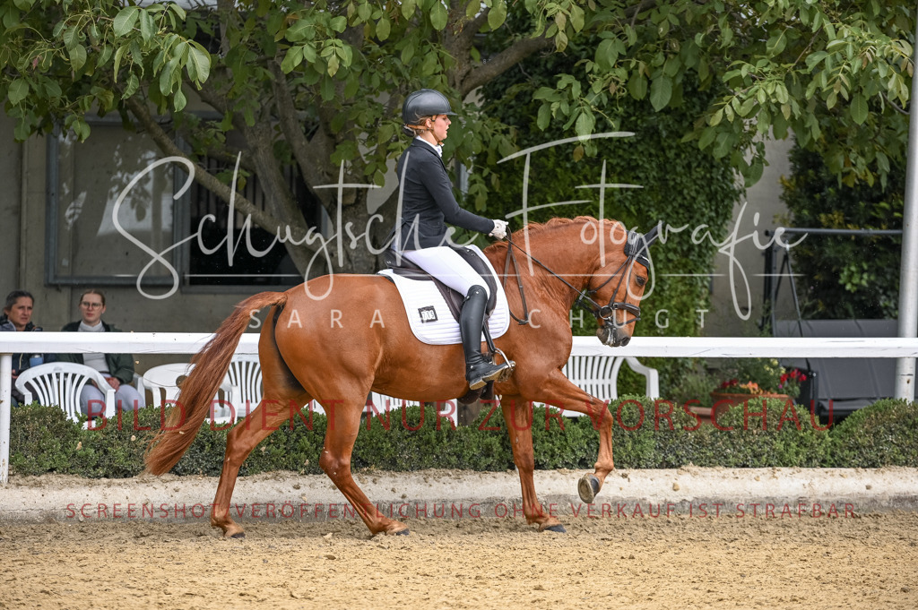 Schugtsche-Aluta25-41.Amat-Dressurprf.A_-460 | Schugtsche Fotografie - Realisiert mit Pictrs.com