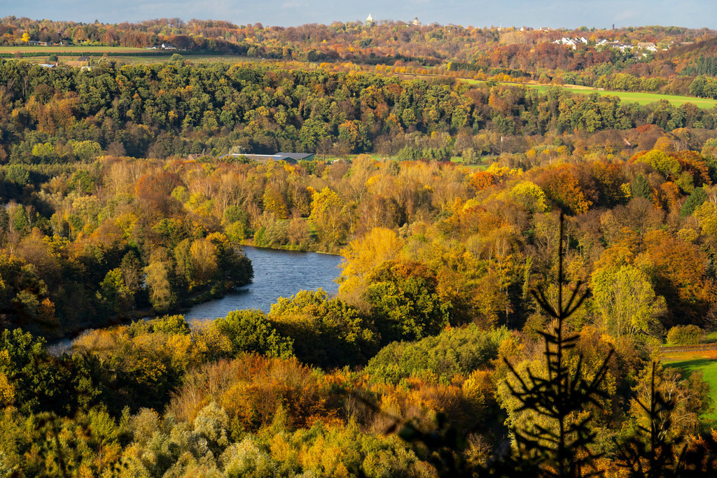 JT-201029 | Herbstlicher Wald entlang des Ruhrtal zwischen Essen-Kettwig und Essen-Werden, vom Oefter Wald aus gesehen, Essen, NRW, Deutschland - Realisiert mit Pictrs.com