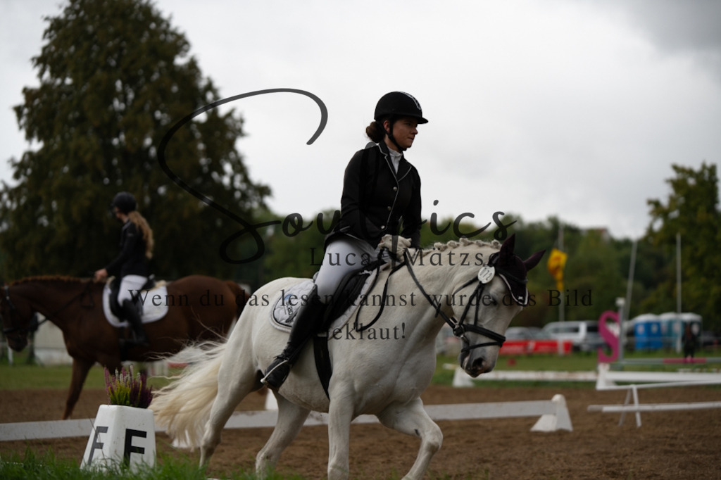 A7V05737 | Pferdefotograf