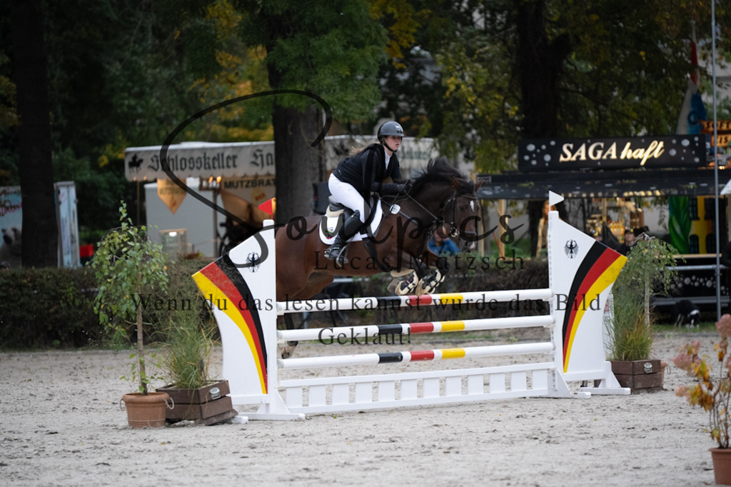 A7V08712 | Pferdefotograf