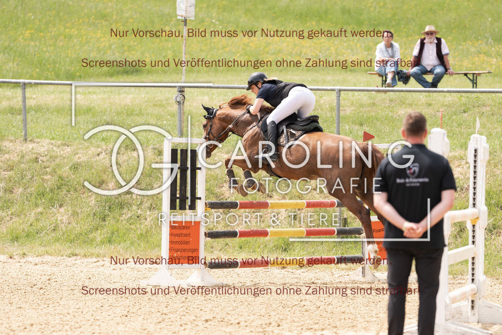 DSC06649 | Springturnier_Ehingen_Mai_2026, Stefanie_Niedermaier, Karzalis
