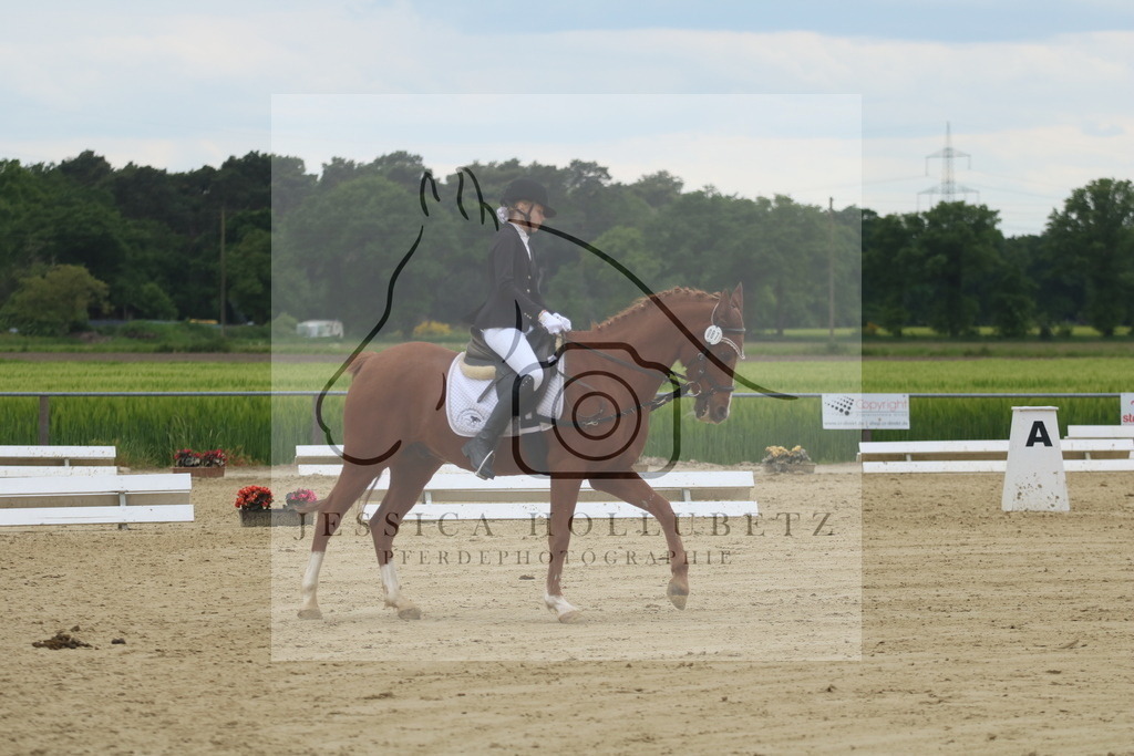 IMG_5214 | jessicahollubetz_pferdephotographie - Realisiert mit Pictrs.com