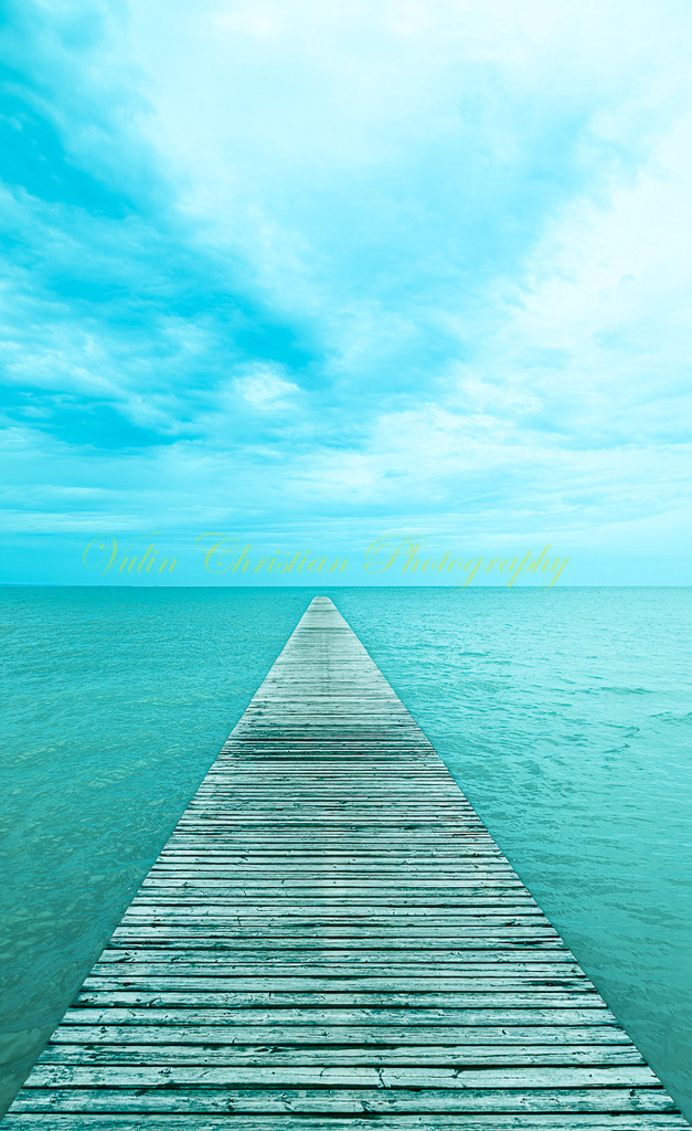 P 95 | Christian Vulin  - Realized with Pictrs.com