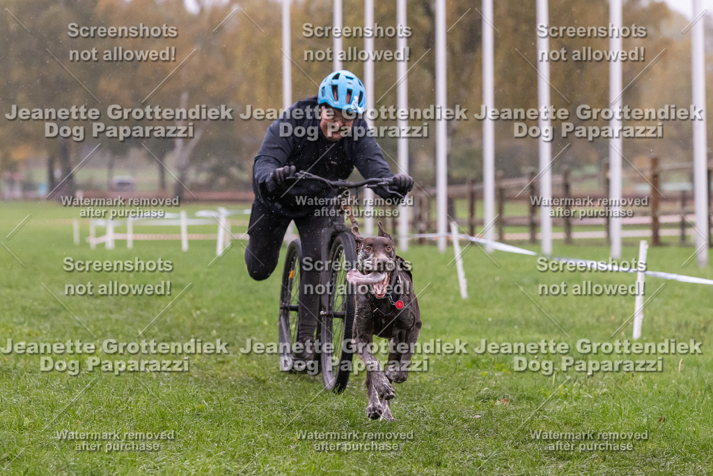 Dog Paparazzi - SD CaniX Championship 2025-900 | Dog Paparazzi Jeanette Grottendiek Fotografie & Videografie - Realisiert mit Pictrs.com