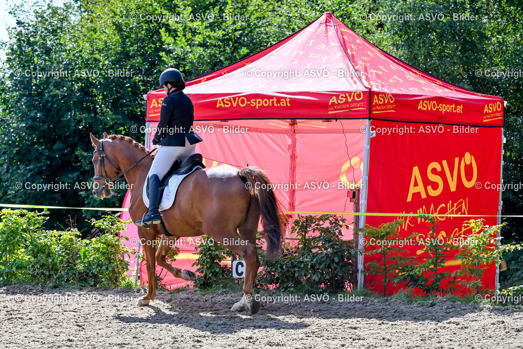 ASVÖ_ Reiten Bezirksmeisterschaft_ 24.08.2025-31 | 24.08.2025, AUT, ASVÖ, Reiten Bezirksmeisterschaft 2025Dressur und Springreiten©fodo.media / Harald Dostal - Realisiert mit Pictrs.com