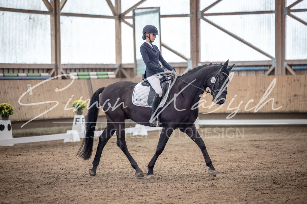 20251011-_3LI9505 | Tierfotografie Pferde, Hunde, Katzen, Haustiere.
Turnierfotografie Reitturniere, Reiten, Springreiten, Dressur in Hanau, dem Main-Kinzig-Kreis und dem Rhein-Main- Gebiet um Frankfurt