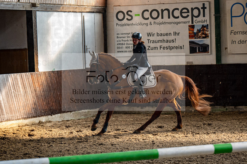 20240308-DOS_2957 | Entdecke hochwertige Reitturnierfotos von Foto Oger. Professionell, emotional und authentisch – jetzt Lieblingsmomente im Shop bestellen.Deutschlandweite Turnierfotografie. - Realisiert mit Pictrs.com