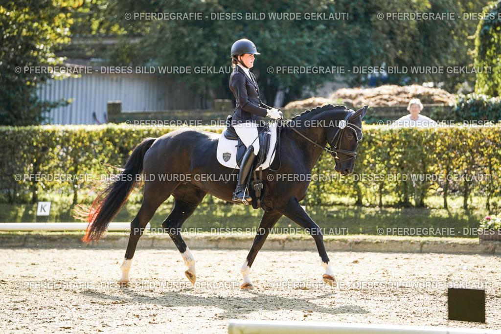 DSC06654 | Pferdegrafie