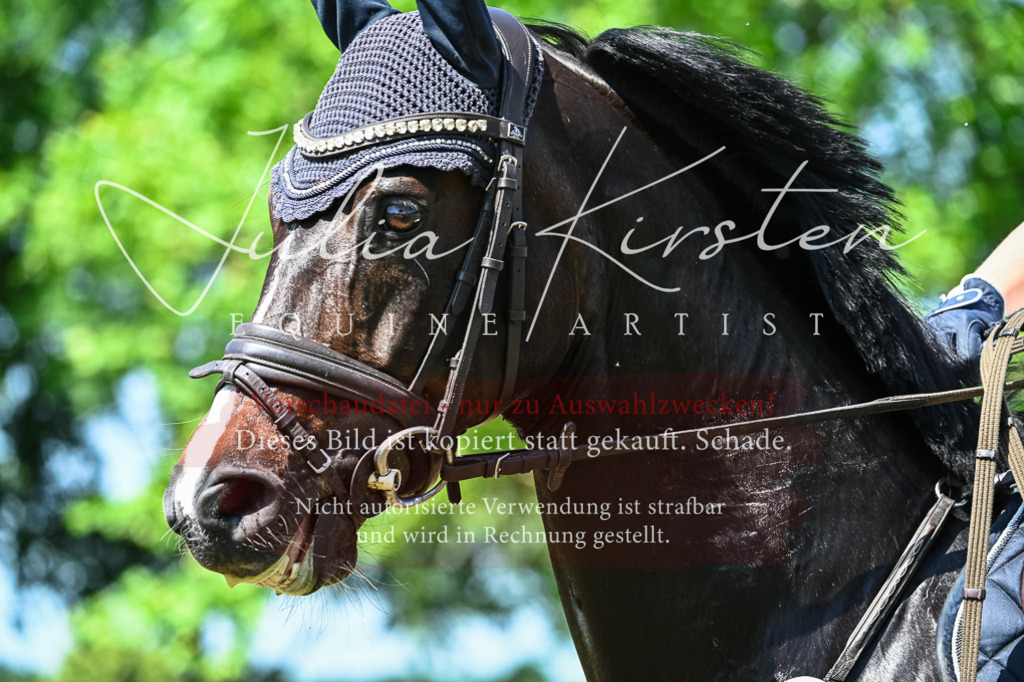 DSC_1008 | Pferde- und Turnierfotografie in Westsachsen. Pferdeportraits, Auftragszeichnungen und intuitive Kunst.