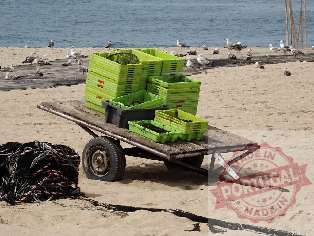 Aveiro Region - Portugal Fishing cart with crates and nets on beach | Fishing cart loaded with green crates and nets resting on a sandy beach - Realized with Pictrs.com