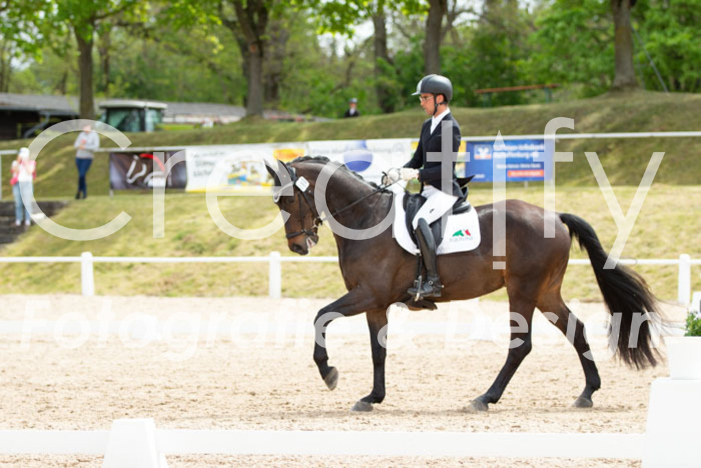 IMG_2785 | Creatify Fotografie